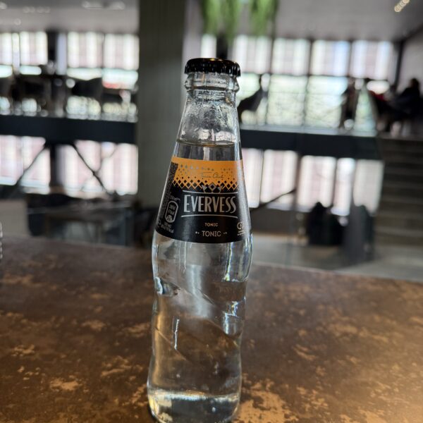 EVERVESS 0.25L-APA TONICA